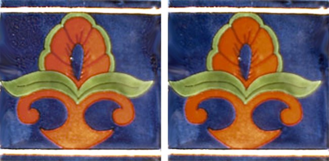 Mexican Talavera Border Tile Orquidia