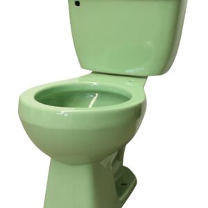 Round Mexican Talavera Toilet Verde Capri