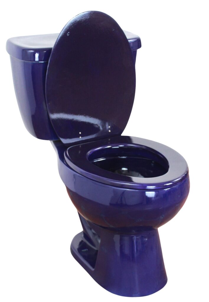 Elongated Comfort Height Toilet Azul Cobalto