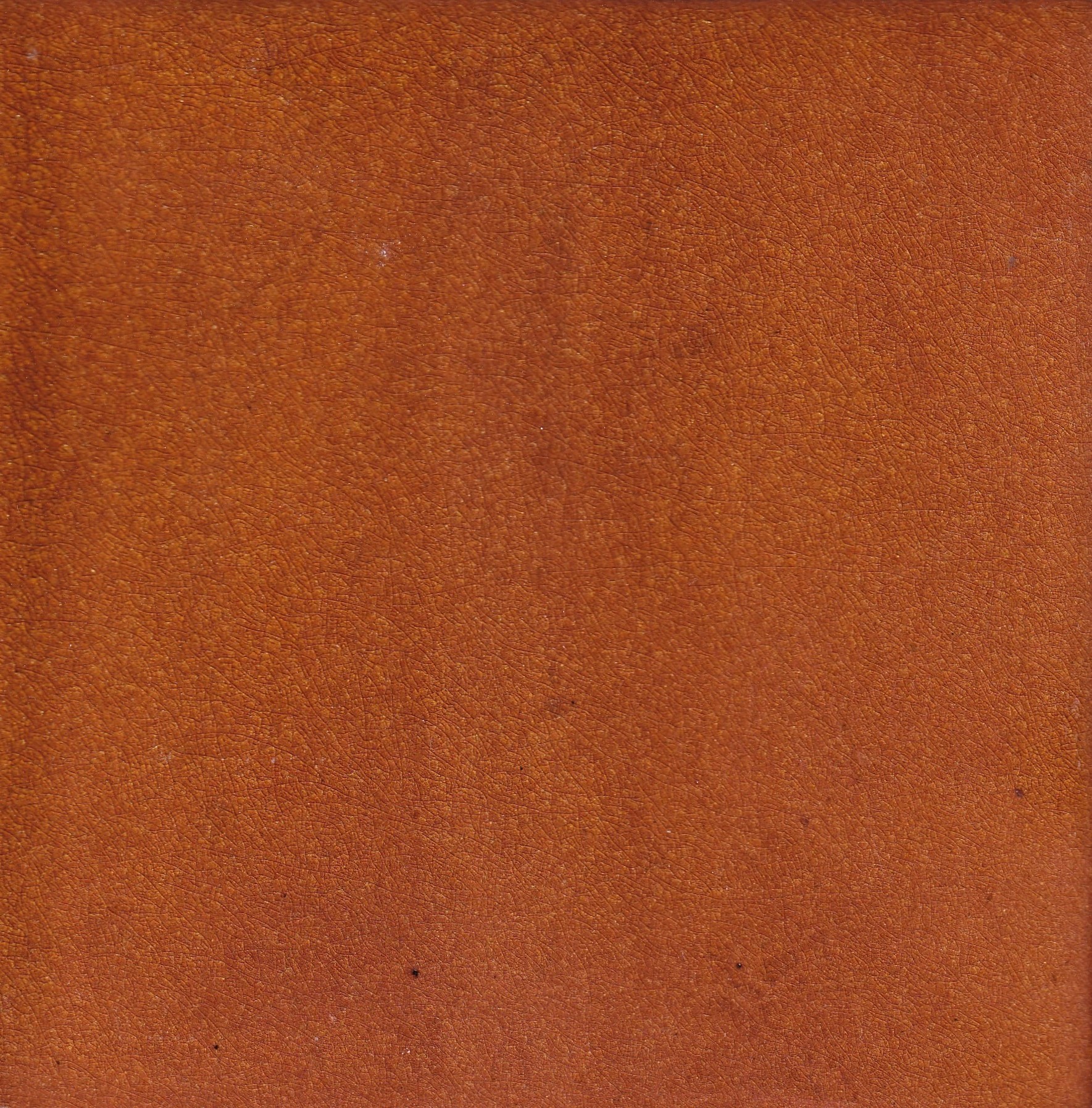 Mexican Ceramic Frost Proof Tiles Crackle Miel