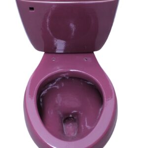 Elongated Comfort Height Toilet Purple
