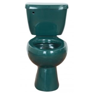Elongated Comfort Height Toilet Verde Pino