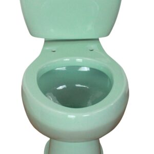 Elongated Comfort Height Toilet Verde Pastel