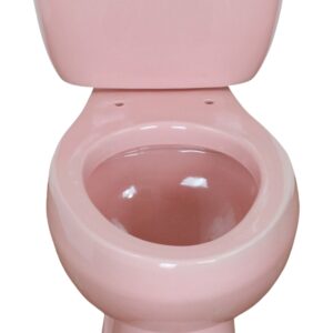 Elongated Comfort Height Toilet Pink Light