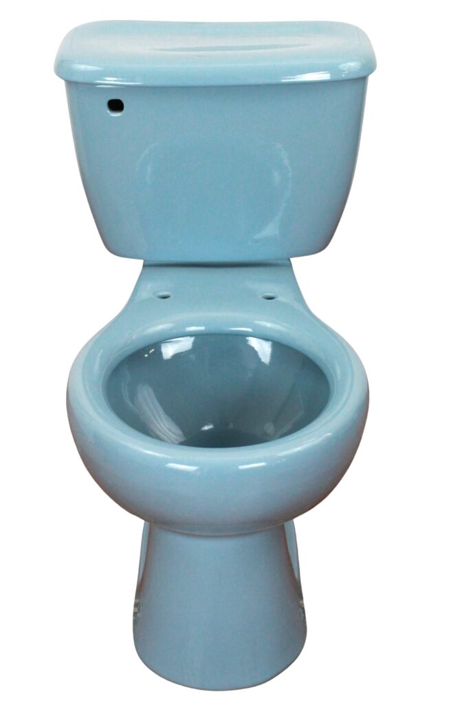Round Mexican Talavera Toilet Holanda Azul