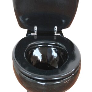 Round Mexican Talavera Toilet Negro Splash