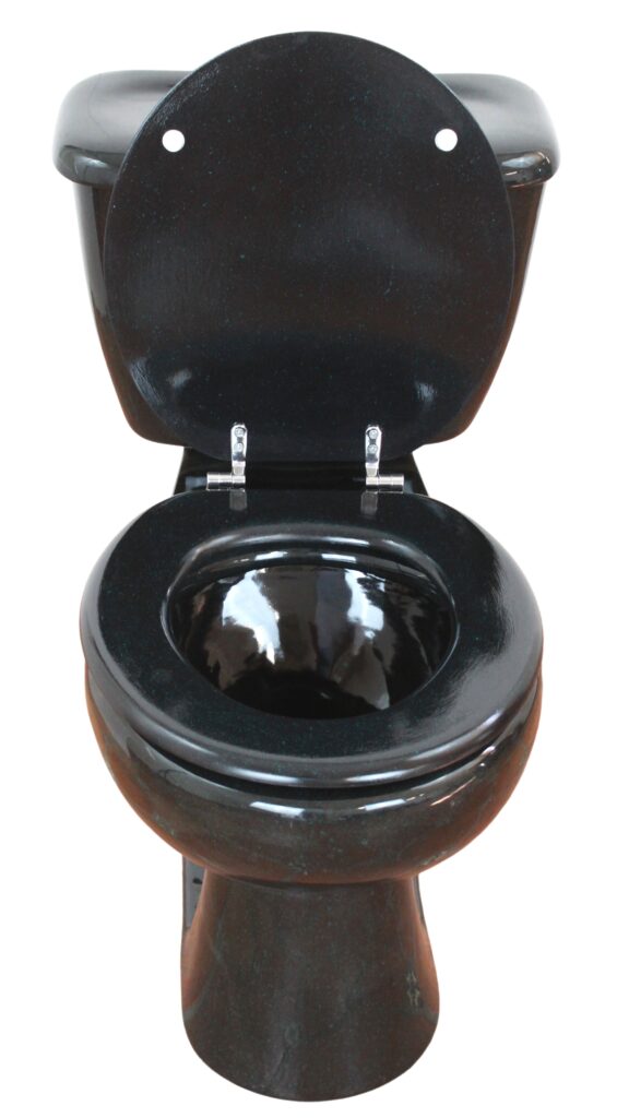 Round Mexican Talavera Toilet Negro Splash